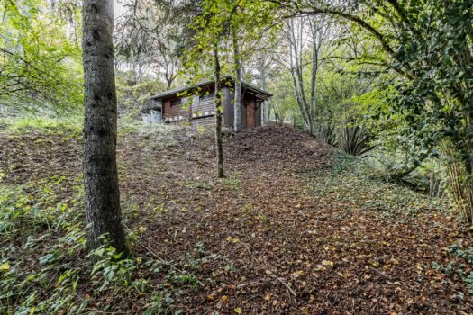 L’ingénieuse – Domaine pour Famille – Gite – Airbnb – Habitat partagé – 8000 m2 de terrain – 300 m2 de bâtiments – 540 000 €