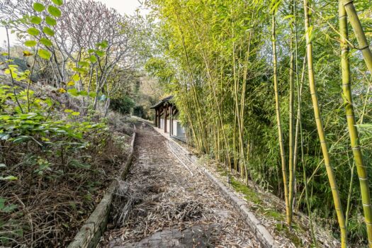 L’ingénieuse – Domaine pour Famille – Gite – Airbnb – Habitat partagé – 8000 m2 de terrain – 300 m2 de bâtiments – 540 000 €