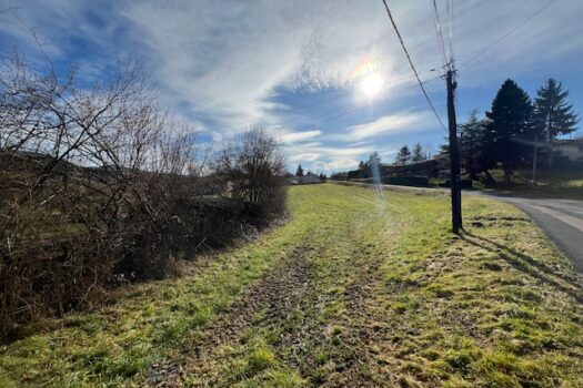 À Vendre : Terrain Constructible de 1 315 m² – Un Emplacement Idéal à Lamure-sur-Azergues