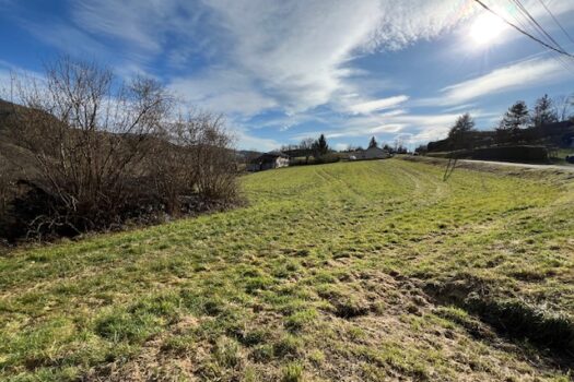 À Vendre : Terrain Constructible de 1 315 m² – Un Emplacement Idéal à Lamure-sur-Azergues