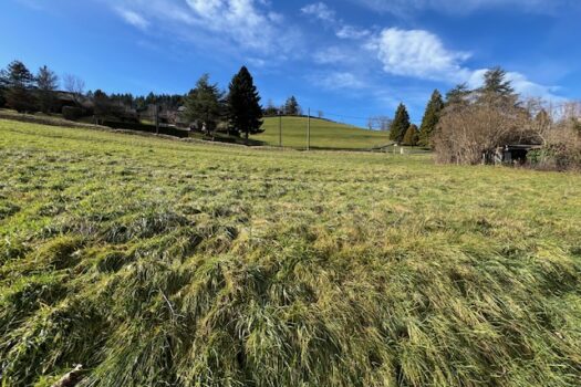 À Vendre : Terrain Constructible de 1 315 m² – Un Emplacement Idéal à Lamure-sur-Azergues