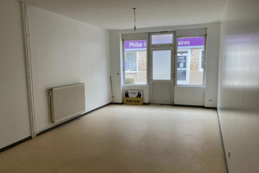 Appartement RDC – 2 pièces 56 m2 avec belle luminosité – 410 € hors charge