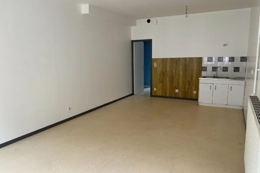 Appartement RDC – 2 pièces 56 m2 avec belle luminosité – 410 € hors charge