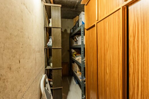 Studio lumineux 28 m² avec cave & parking – Lyon 5ᵉ, vue nature