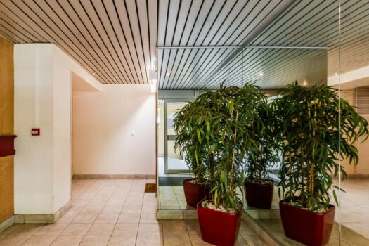 Studio lumineux 28 m² avec cave & parking – Lyon 5ᵉ, vue nature