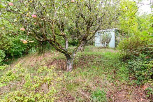 Maison pleine de charme à rénover à Grandris – 85 000 €