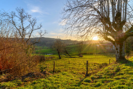 Ancien corps de ferme à réinventer sur la commune d’Anglure-sous-Dun – 190m2 – 215 000€ – terrain de 6700 m2
