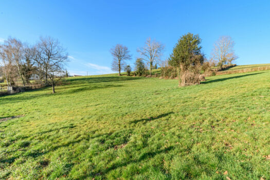 Ancien corps de ferme à réinventer sur la commune d’Anglure-sous-Dun – 190m2 – 215 000€ – terrain de 6700 m2
