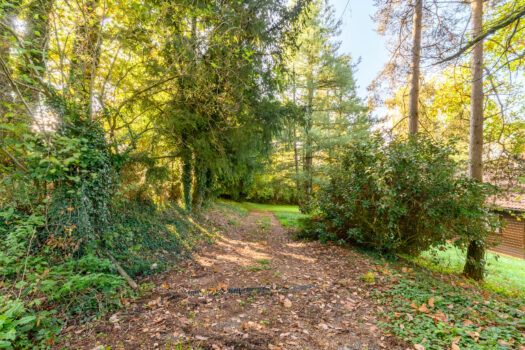 Le Refuge arboré – charmant chalet aux abords de Chénelette – 82m2 – 240 000€