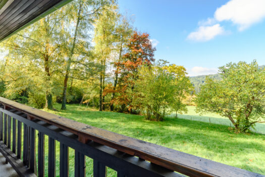 Le Refuge arboré – charmant chalet aux abords de Chénelette – 82m2 – 240 000€