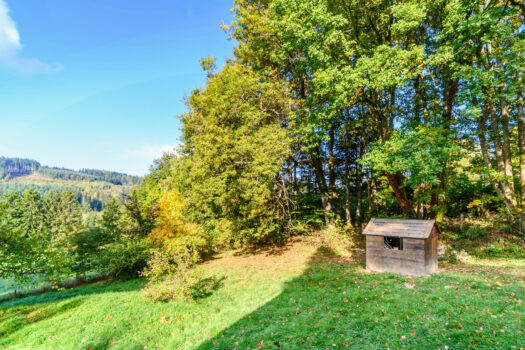 Le Refuge arboré – charmant chalet aux abords de Chénelette – 82m2 – 240 000€