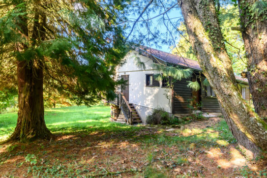 Le Refuge arboré – charmant chalet aux abords de Chénelette – 82m2 – 240 000€