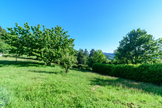 🏡 Belle maison familiale 6 chambres – Grandris (69870) – 169 m² – Jardin – Garage 290 000 € FAI