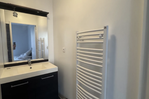 Appartement T2 meublé – « un jardin dans la ville » – 650 €/mois CC